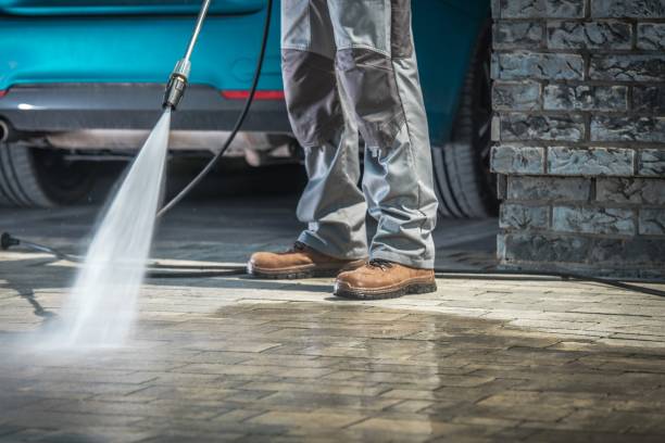 Animal Enclosure Cleaning in Empire, CA